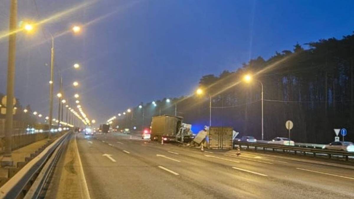    Фото: Пресс-служба ГУ МВД России по Московской области / Telegram