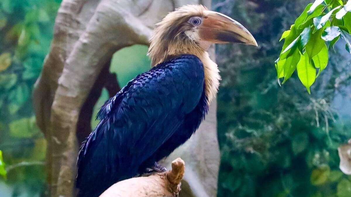    Фото: mos.ru / Официальный сайт мэра Москвы