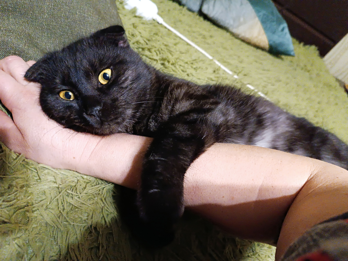 Вот некоторым только бы поспать!  Да ещ[ и в обнимку! 😀