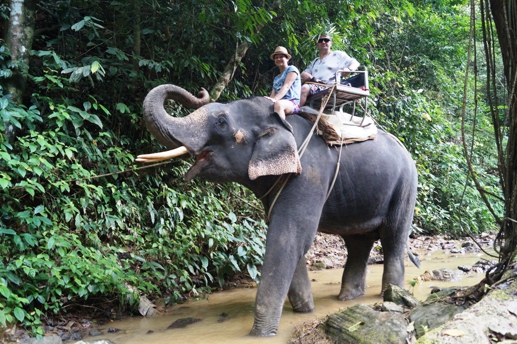 На слонах по джунглям, Као Сок.