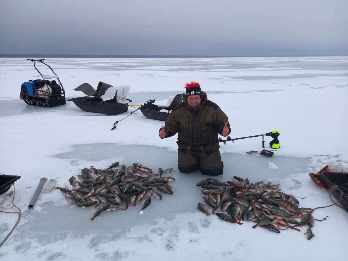 Раздача Ладожского горбача.