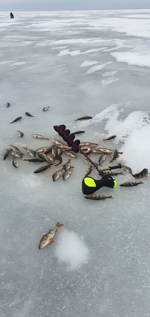 Хорошая раздачная лунка.