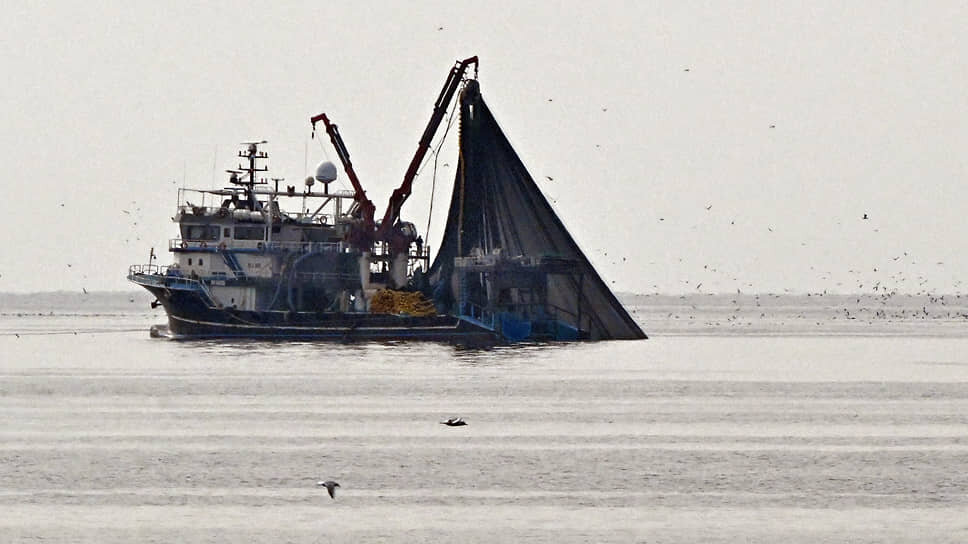 Фото: Анатолий Жданов / Коммерсантъ