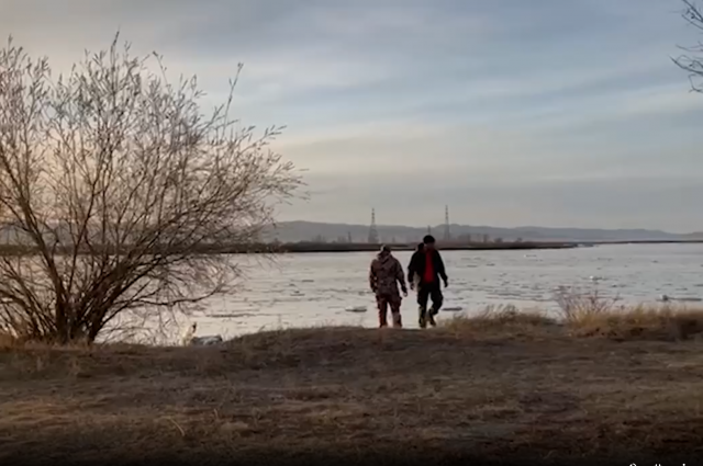    Поиски пропавших. Фото: «Лиза Алерт»