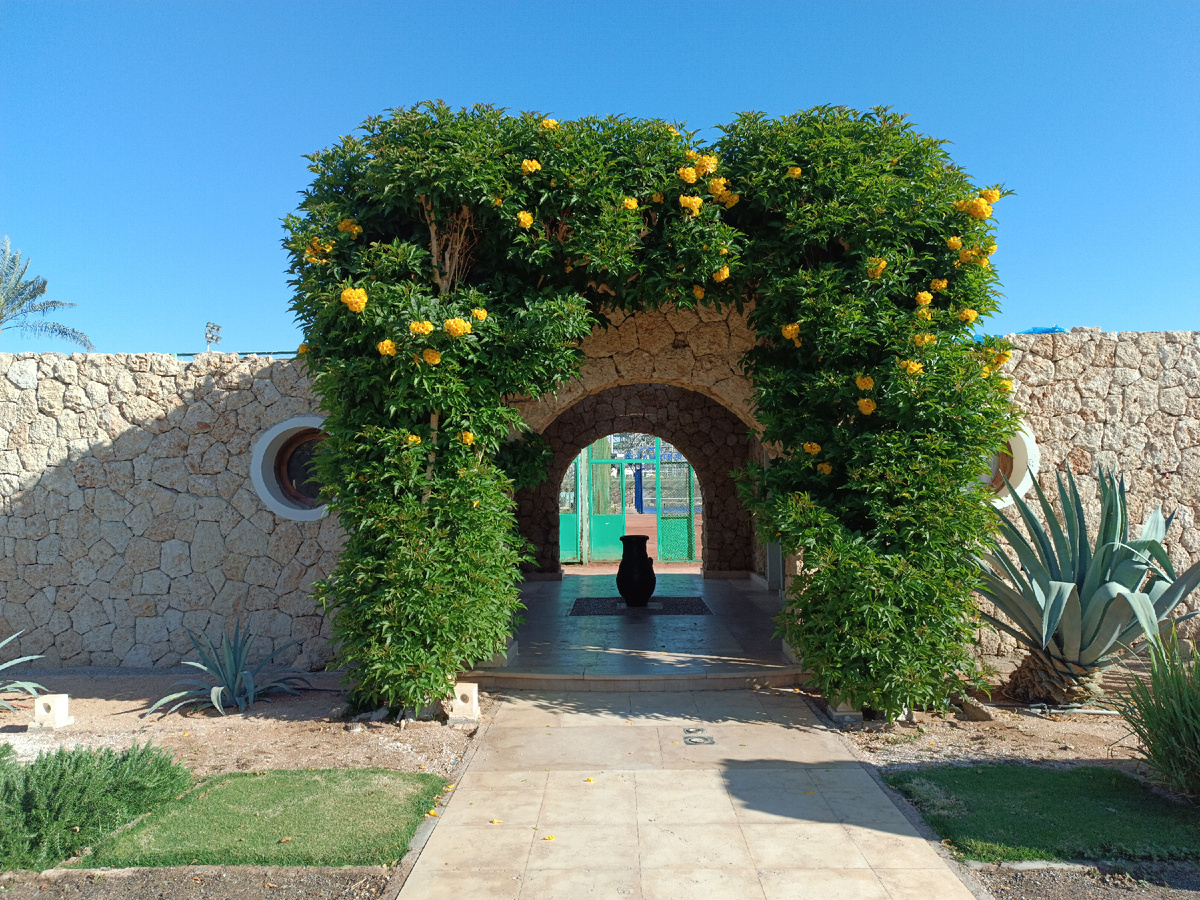 Локации отлея Reef Oasis Beach Resort