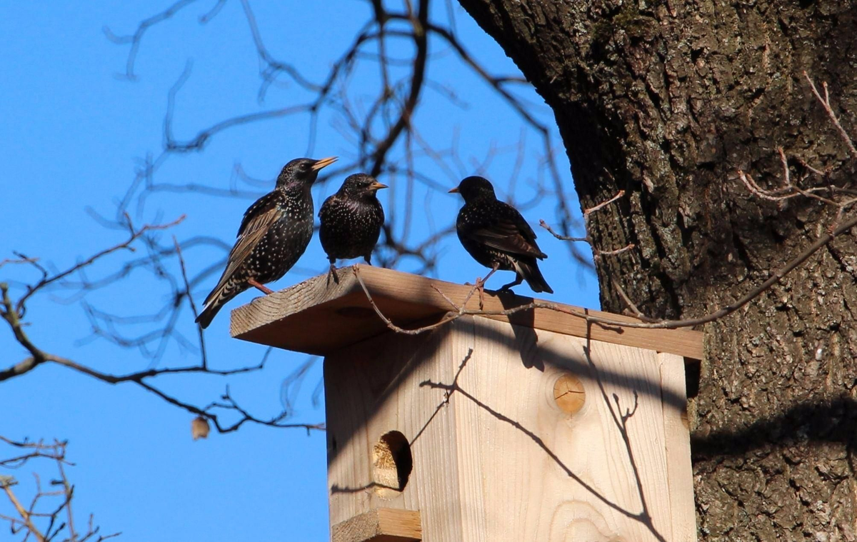 фото из сторонних источников