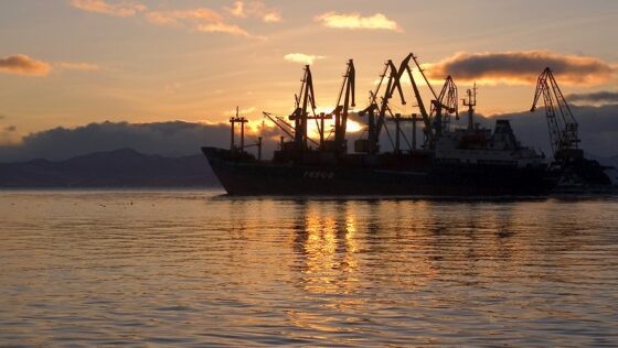     Фото: Петропавловск-Камчатский МТП