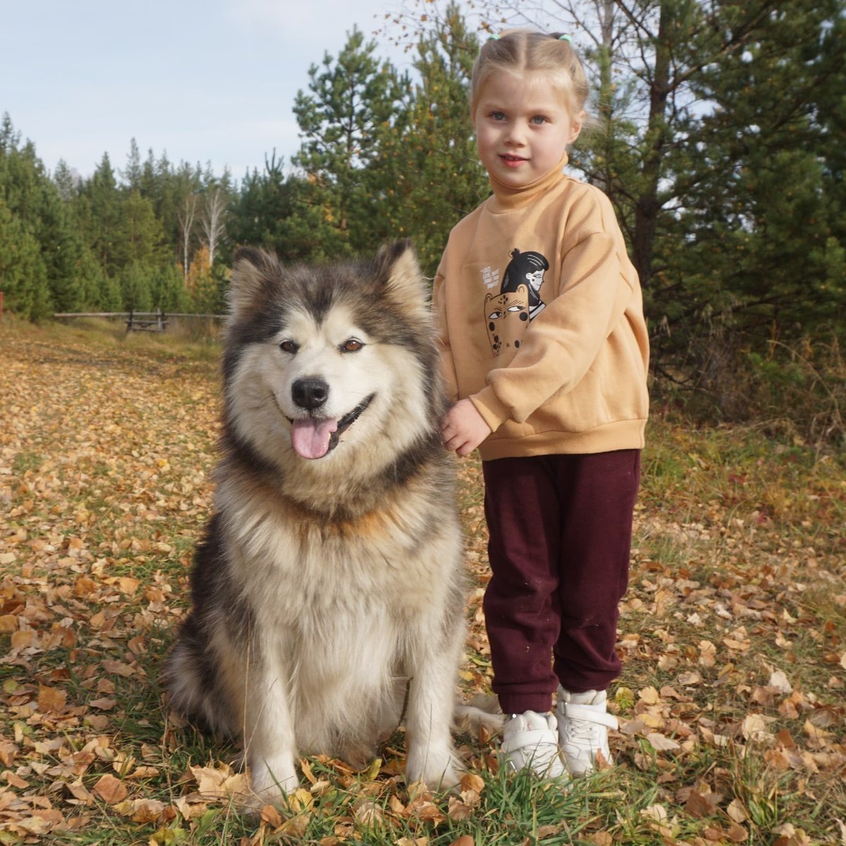 собаку откроммили и отмыли