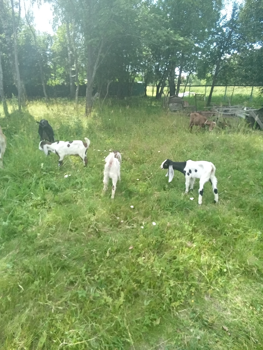 Фото автора.