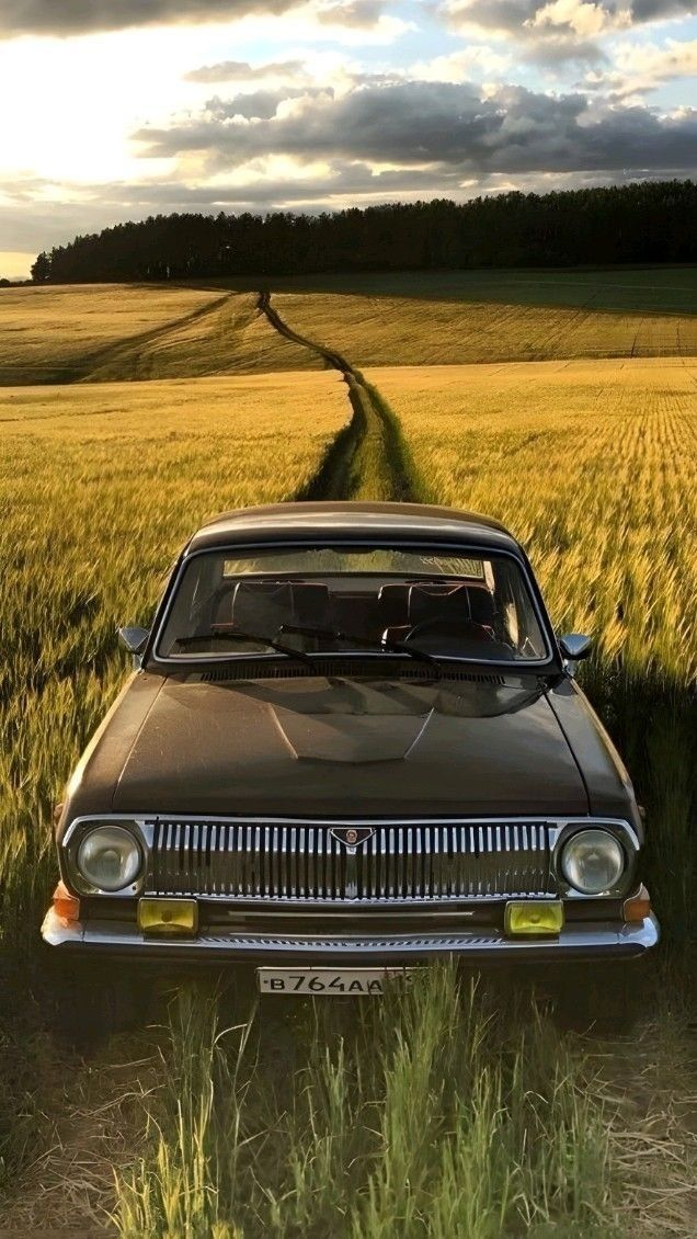 Поле! Русское поле! Волга обладает проходимостью кроссовера. В те времена делали машины для дорог инаправлений. Фото из открытых источников