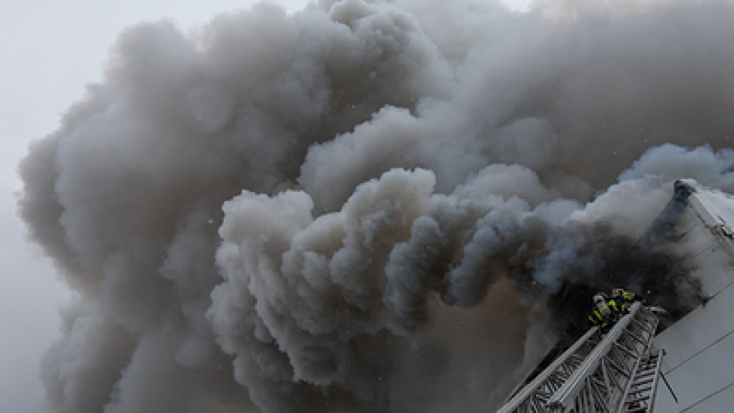    Belkin Alexey/Globallookpress