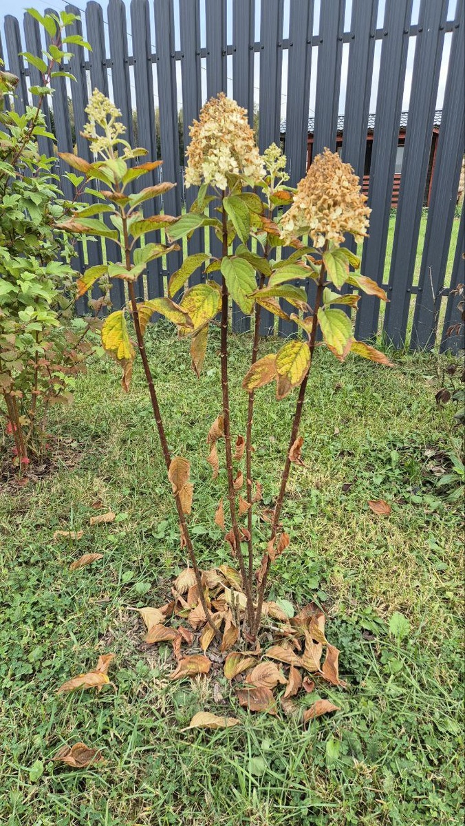 Исходное фото