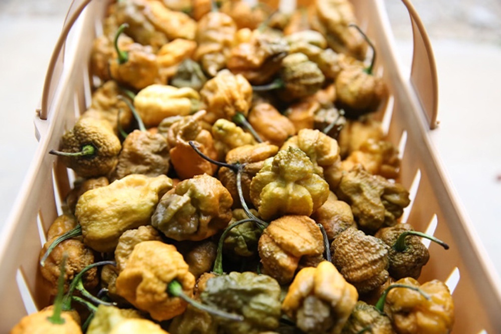    Pepper X. / Фото: соцсети