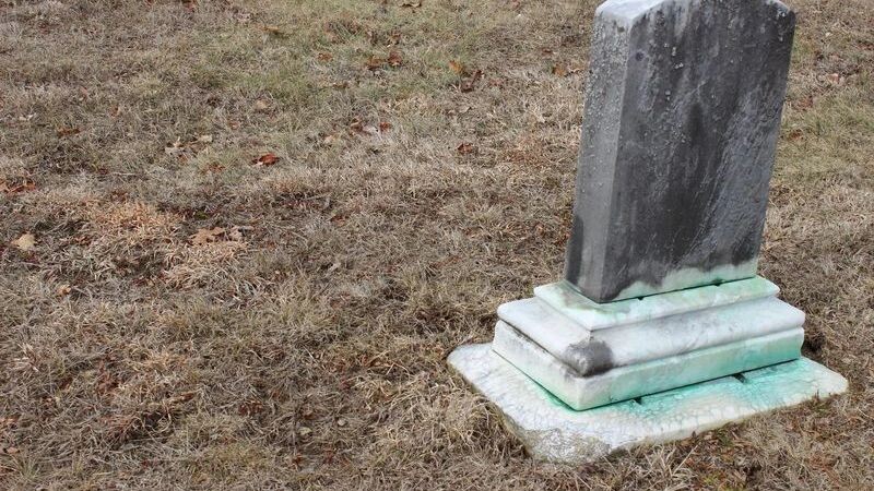    Фото: aswphotos134/Shutterstock/Fotodom