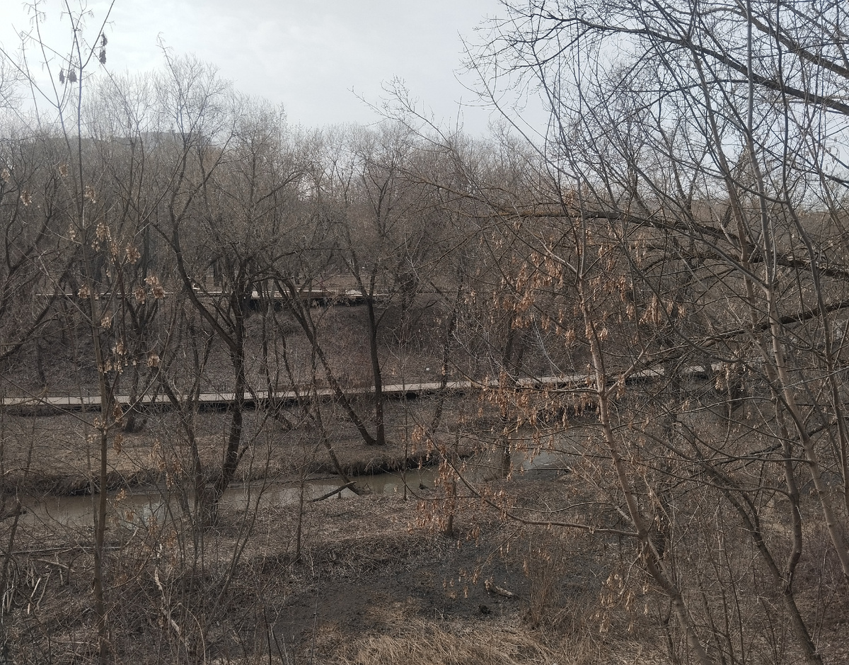 Долина реки Чермянки. 11.03.2025 г.