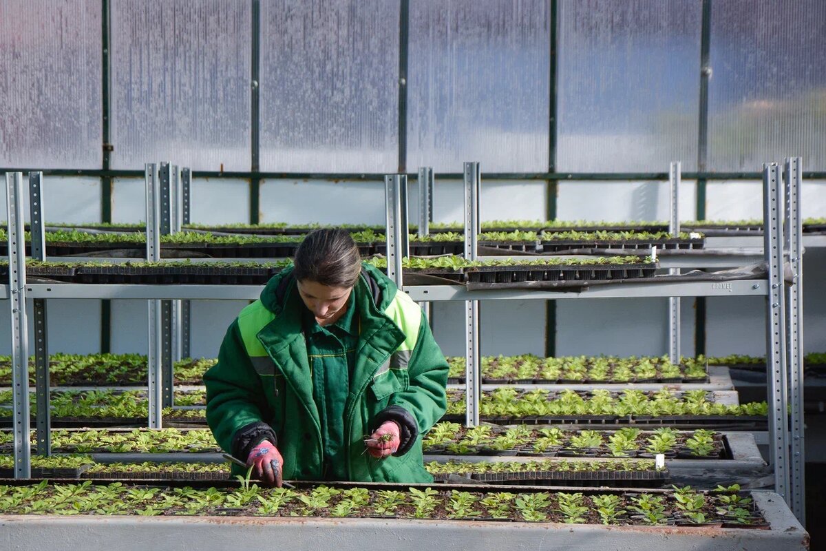 Фото: Гала Амарандо