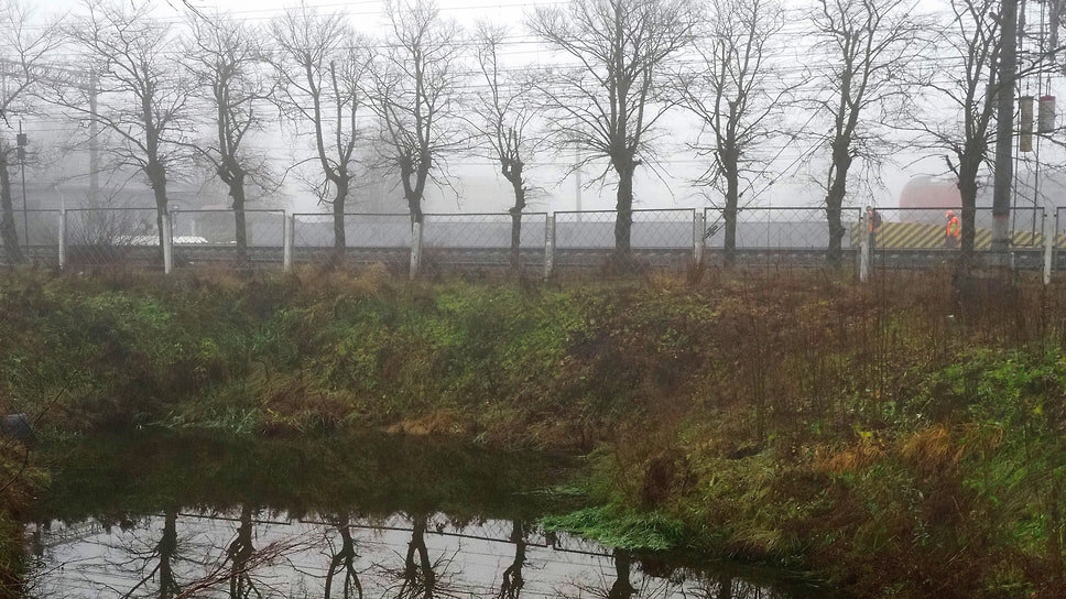 Фото: Майя Жинкина / Коммерсантъ