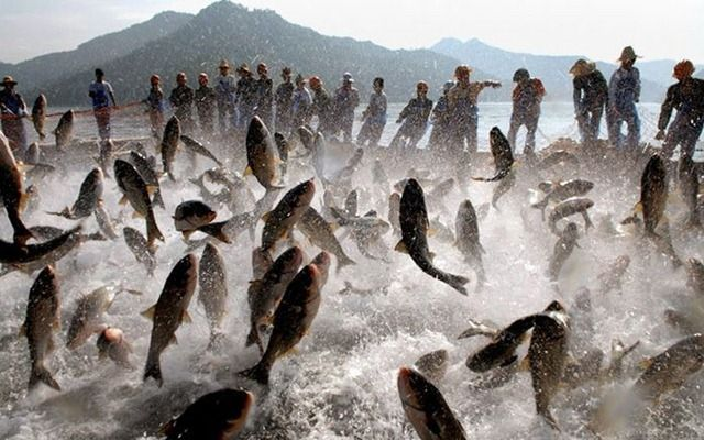 Как заставить рыбу клюнуть: 3 верных способа