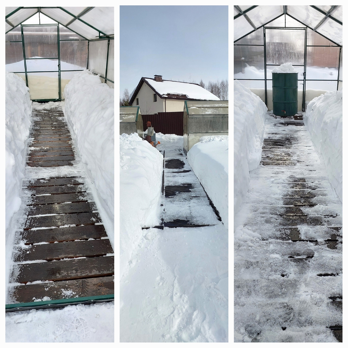 Слева - теплица огуречная, справа - помидорная. В центре - дорожка к ним.