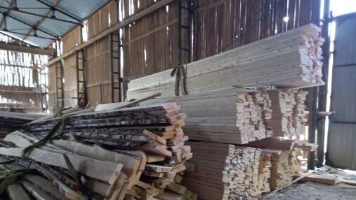     Источник: Управление Россельхознадзора по Кировской области, Удмуртской Республике и Пермскому краю