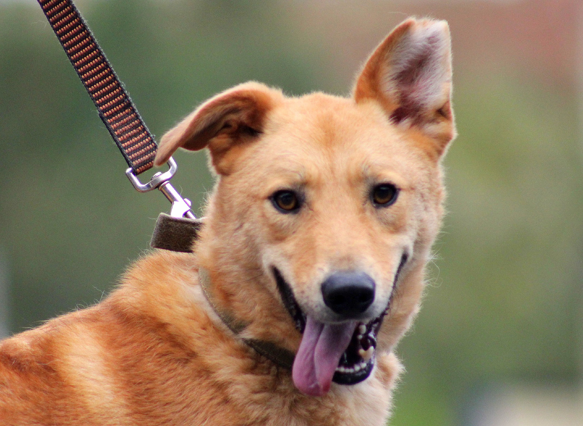 Я просто маменькин сыночек и всё