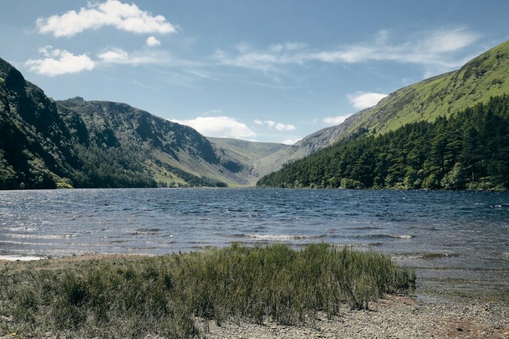    @wirestock на freepik.com