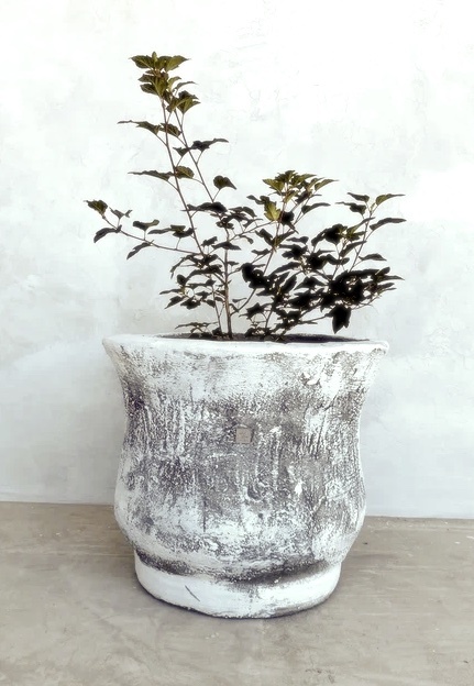 Фото автора. Avazon studio Дизайнерские бетонные вазоны