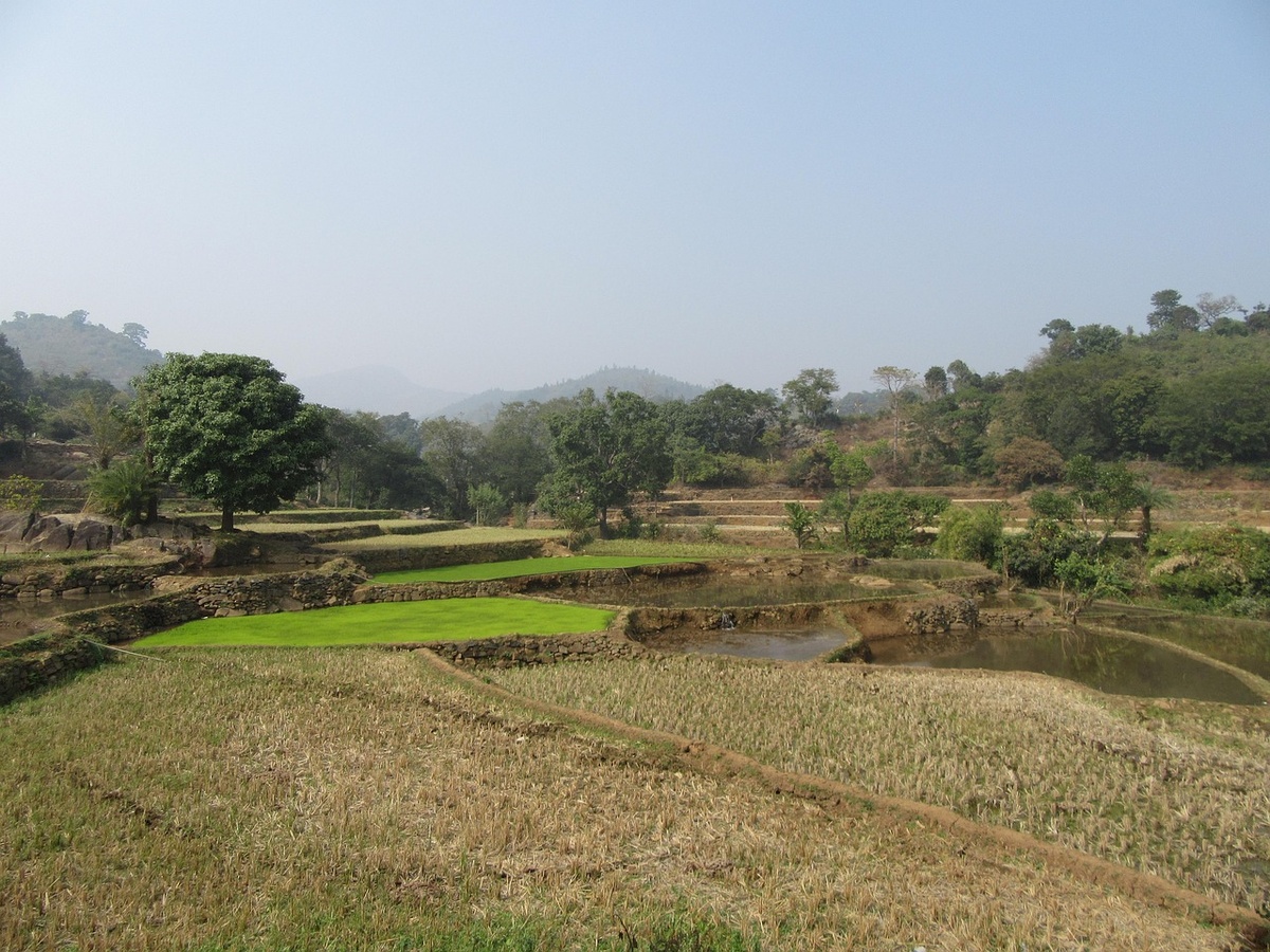    Источник: pixabay.com