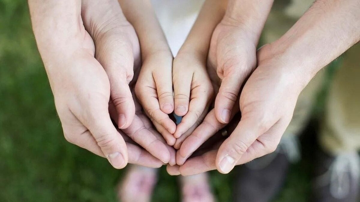    Фото: Администрация Краснодарского края