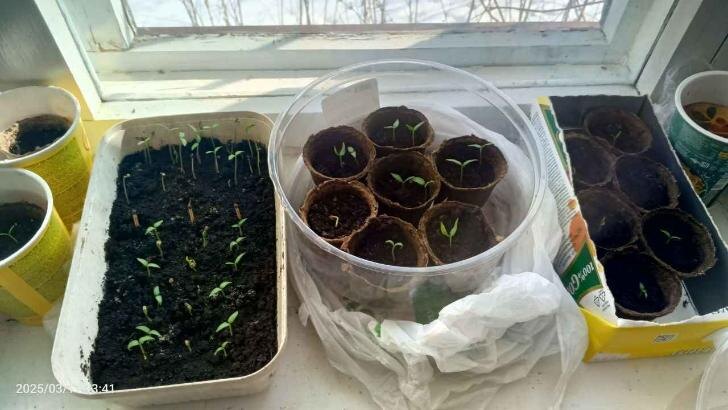    Фото: Пруфы.рф