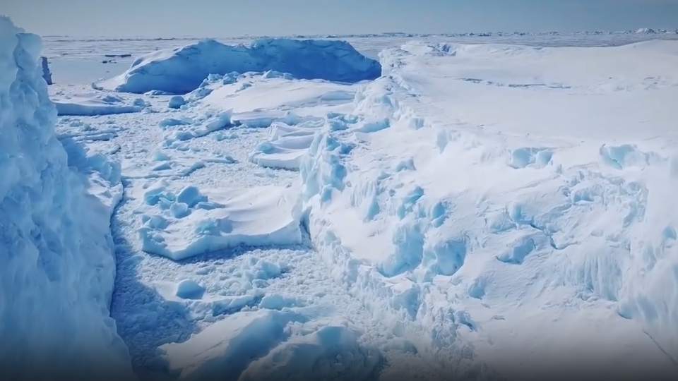 Фото: © Кадр из программы "Невероятно интересные истории", РЕН ТВ