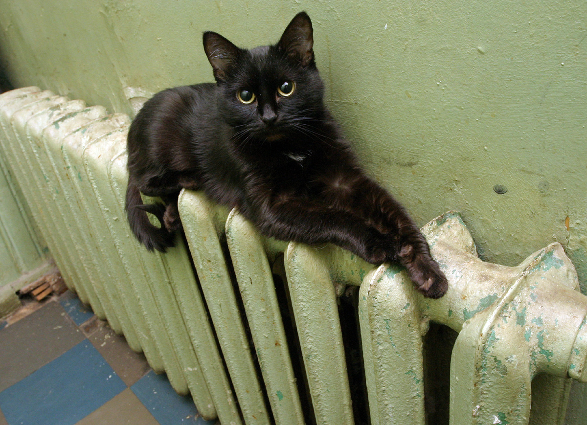 Фото: © Zamir Usmanov/ Global Look Press