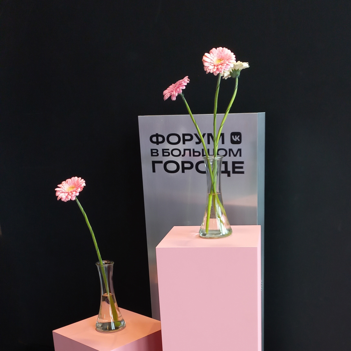 Фотозона форума