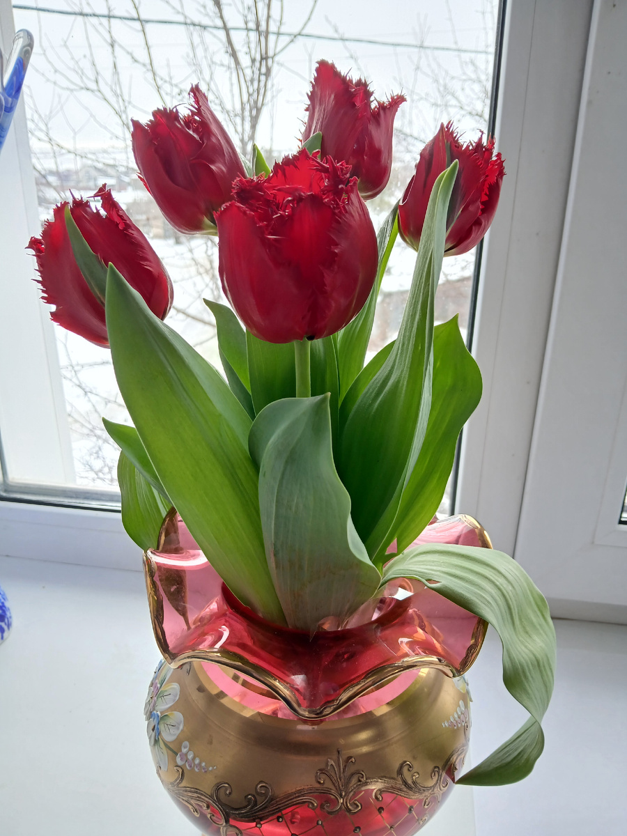 Фото автора. 8 марта 2025г.