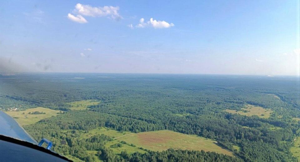    Комитет лесного хозяйства Московской области