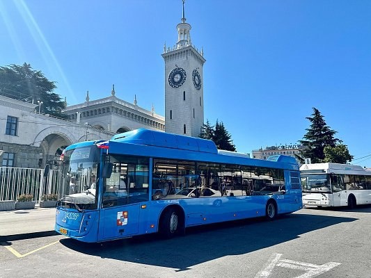 Фото: телеграм-канал Сочи Официальный  📷
