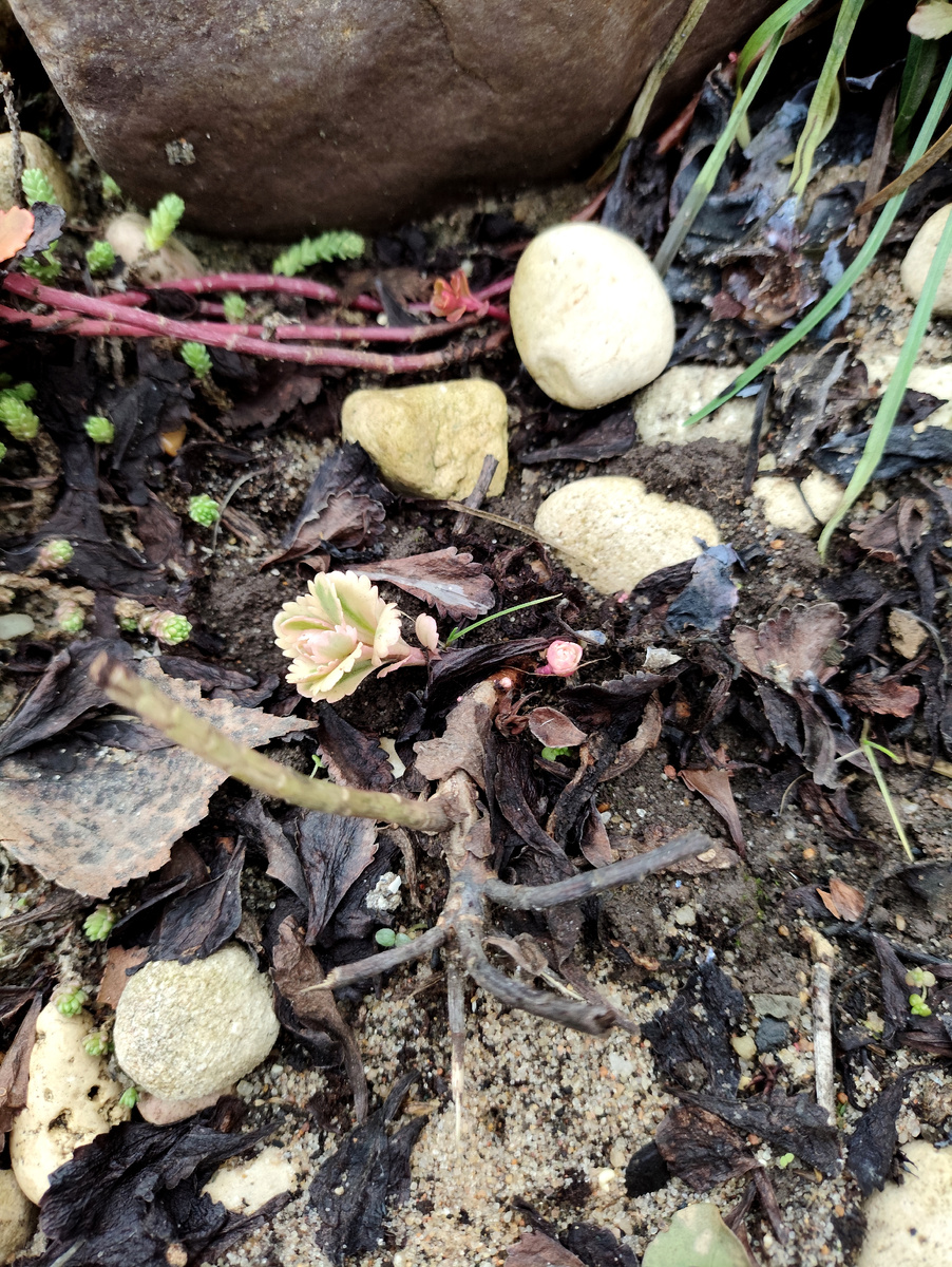 сегодня он такой