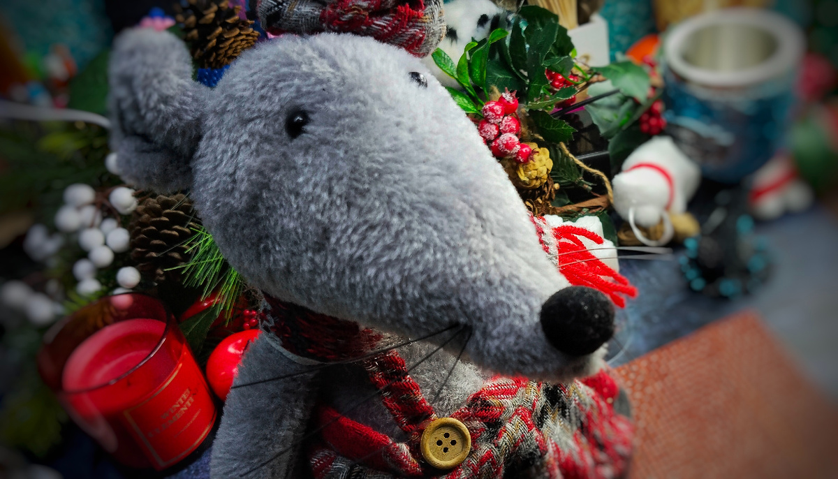 Крыска Алиска!