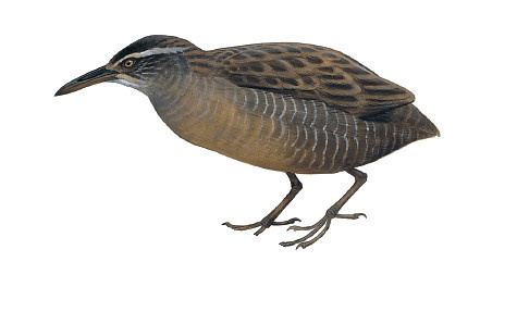 © СальватореЧаму | Flickr.com