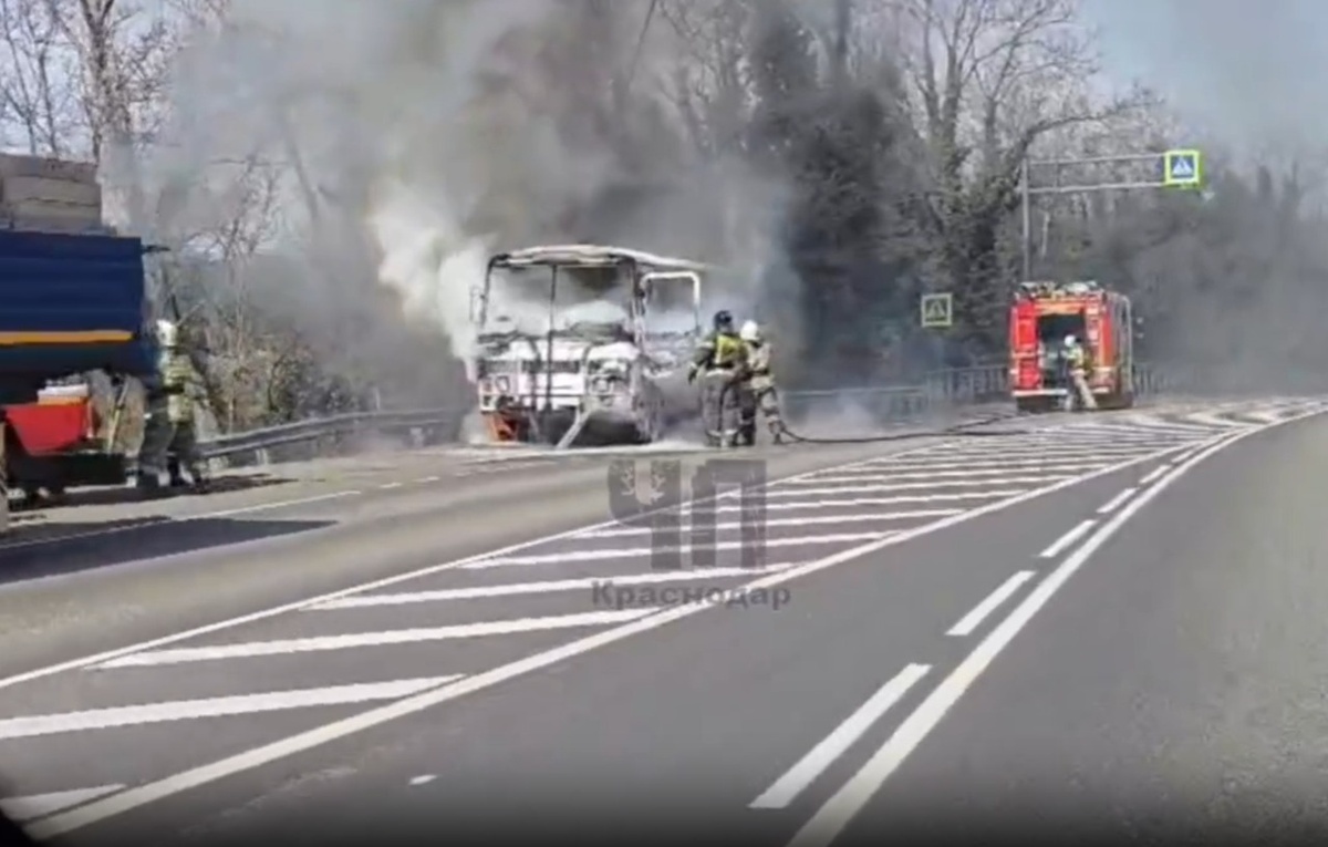    Фото: соцсети