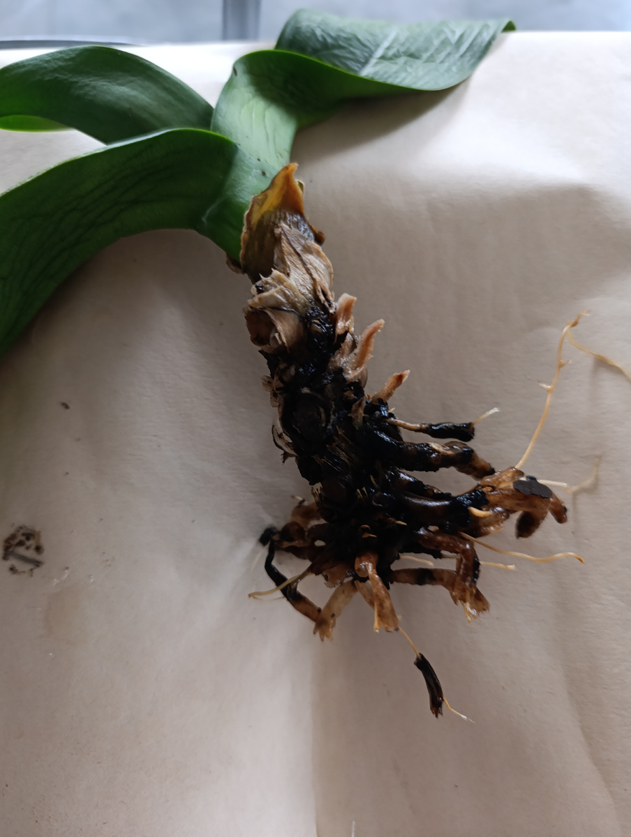 Все срезано