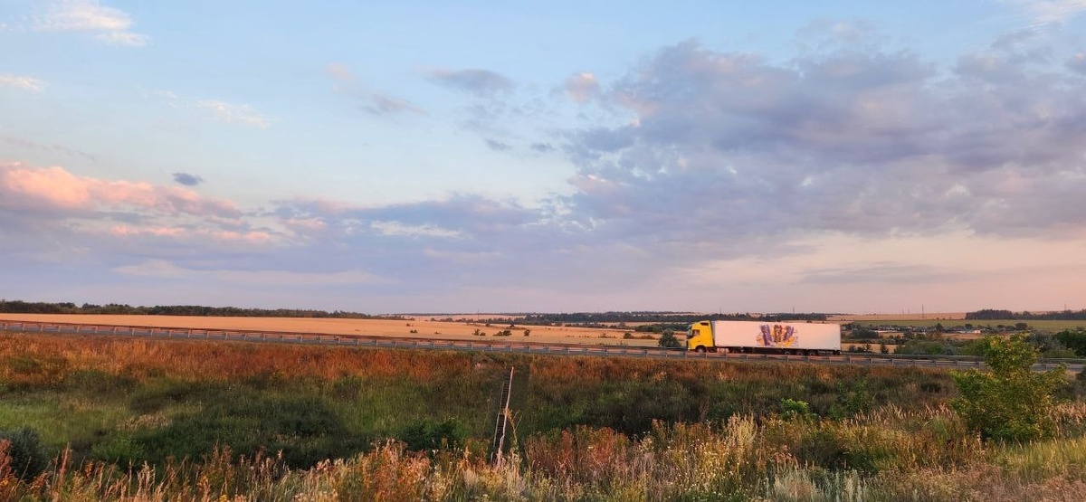    Фото: Надежда Острокол