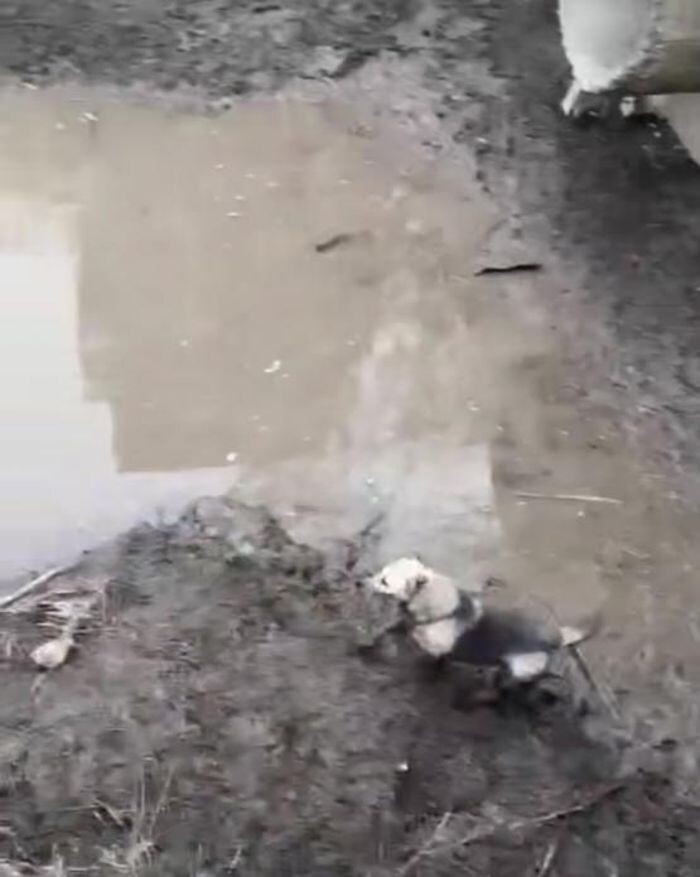 Источник фото: Кадр с видео управления по делам ГО и ЧС