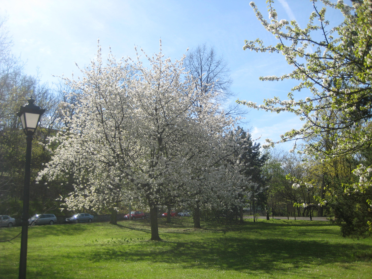 изучение английского языка, канал для путешественников, английский с Натали
