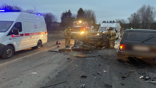 Фото: Пресс-служба ГУ МВД России по г.Санкт-Петербургу и Ленинградской области