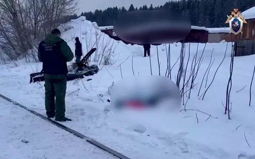    Пострадавшего при столкновении снегохода и поезда подростка выписали из больницы в Ижевске
