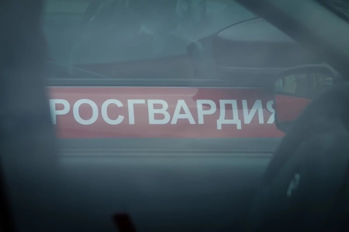    Омские росгвардейцы поймали пьяного мужчину у детского садика