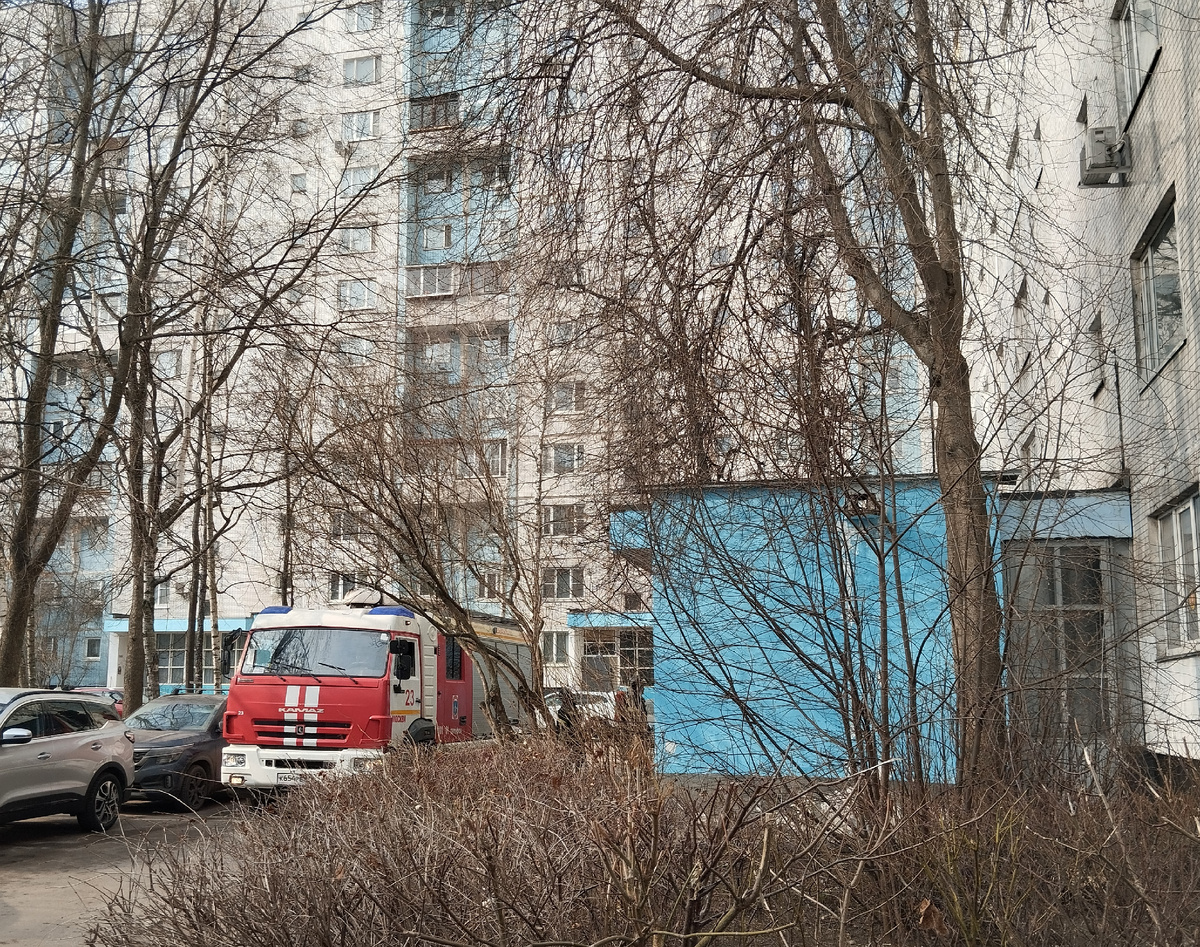 В нашем дворе.