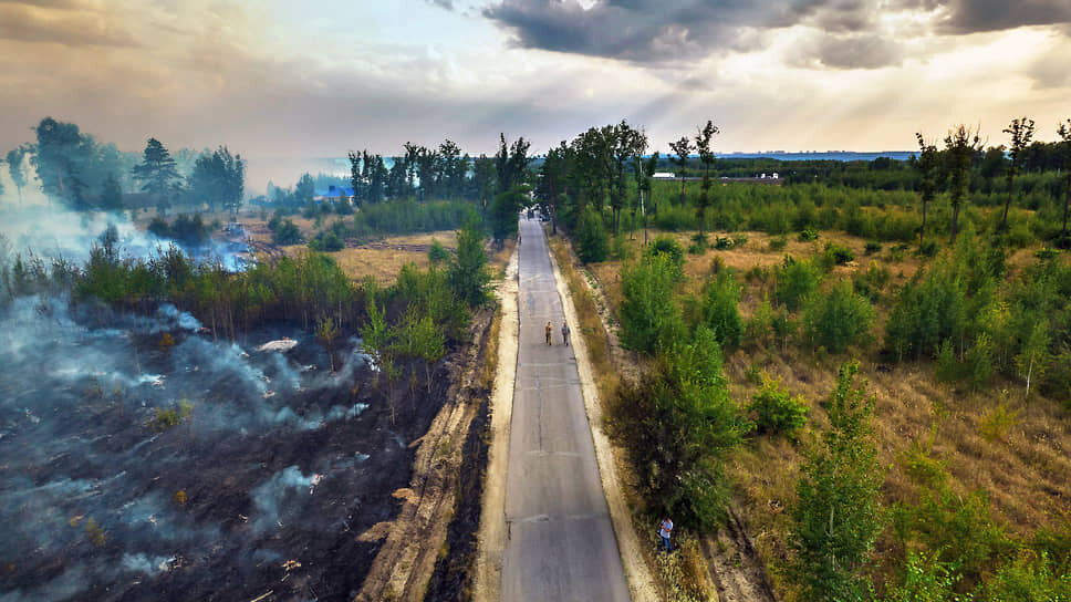 Минлесхоз РТ выделил 265 часов полетов для борьбы с лесными пожарами в 2025 году.📷Фото: Олег Харсеев / Коммерсантъ