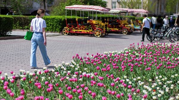    © Sputnik / Табылды Кадырбеков